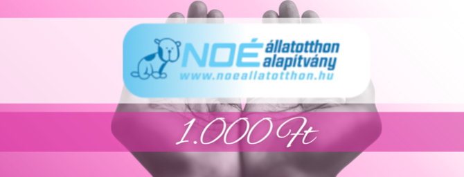 NOÉ Állatotthon